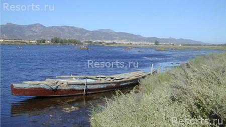 Is Morus Relais 54